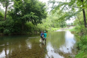 The Greenbrier Fly Fishing