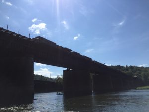 IMG_5570