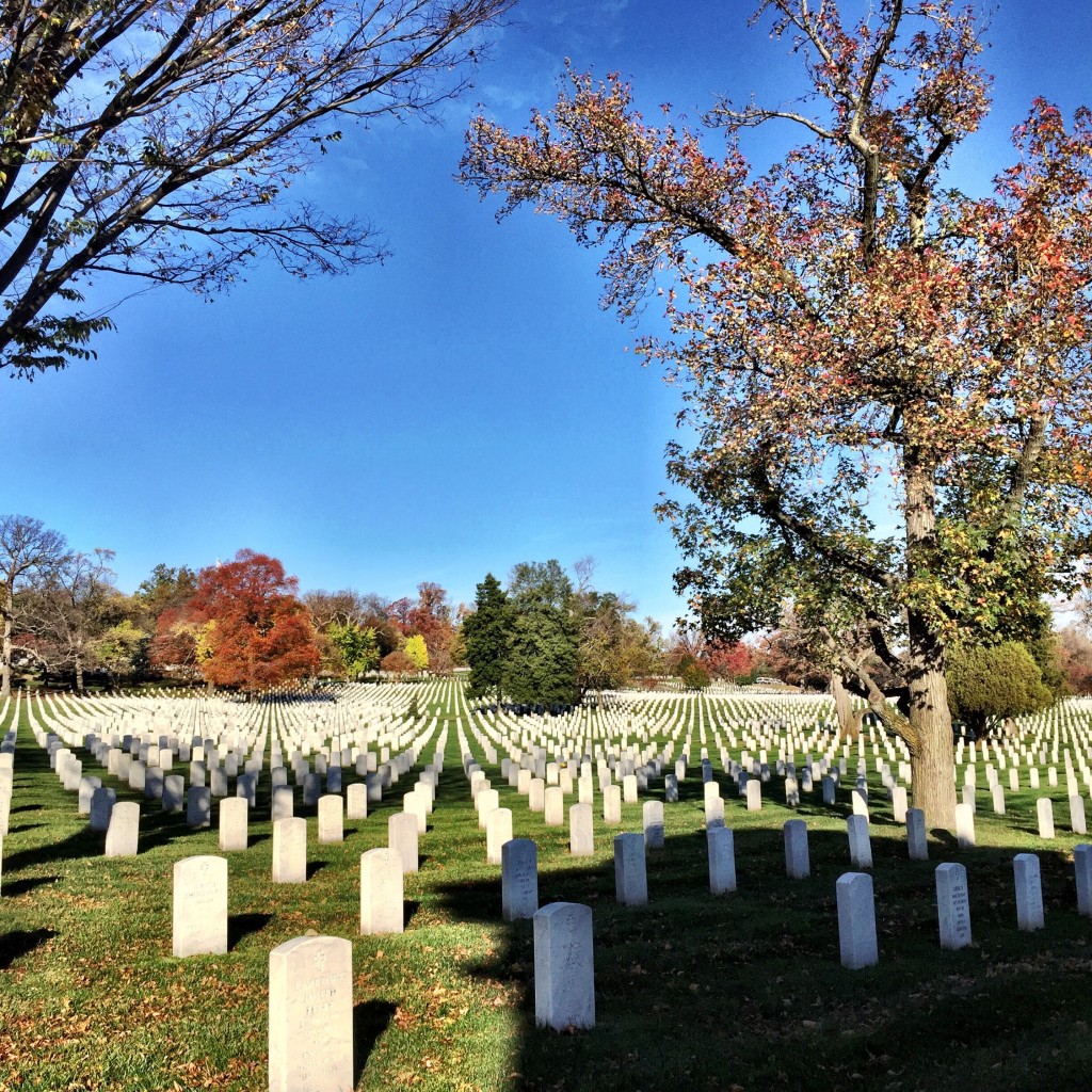 I've been many times, but the sheer number of graves still gets to me