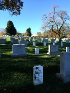 Arlington House in the background