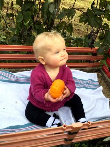 Family tradition, Pumpkin patch pics