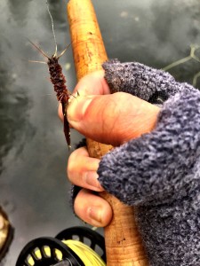 I switched to this wooley (from the Urban Angler) and cast near the second crossing.  I felt a bite or two, and then hooked one.  I saw him under the surface, and he looked to be about a foot long.  Then he threw the hook.  I cast some more but nothing.  I moved on, but came back about 40 minutes later.  A few more bites, and then a huge hit.  I was so worried about losing him, but I got him in the net.